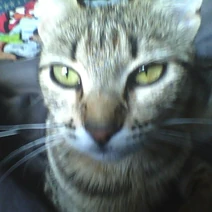 2013-06-04-131522 (V)°,,,,°(V).jpg (53 KB) 2013-06-04-131522 (V)°,,,,°(V)