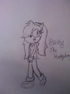 Baileythehedgehog stp
