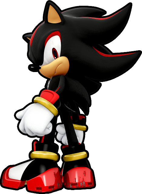 Shadow the Hedgehog MBTI Personality Type: INTJ or INTP?