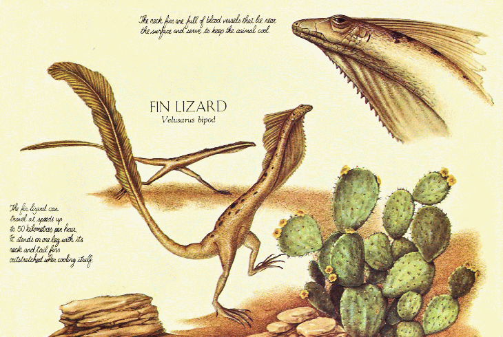 lizard looking dinosaur with fin on back
