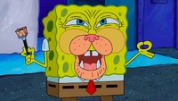 Sponge Looks Like Kenny