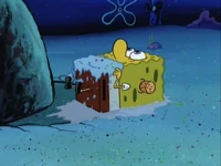 Home Sweet Pineapple Gallery (35)