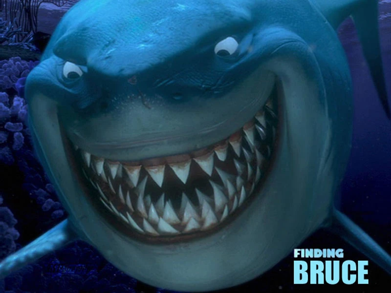 Bruce the Shark | SpongeBob & Friends Adventures Wiki | FANDOM powered