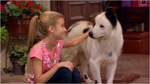 Full Episodes Of Dog With A Blog Stan Has Puppies Full Episodes Of Dog With A Blog Stan Has Puppies