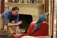 BennettLucy-TheParrotTrap.jpg