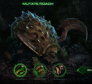Roach SC2-HotS Story1