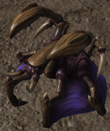 starcraft hotkey starcraft hotkey