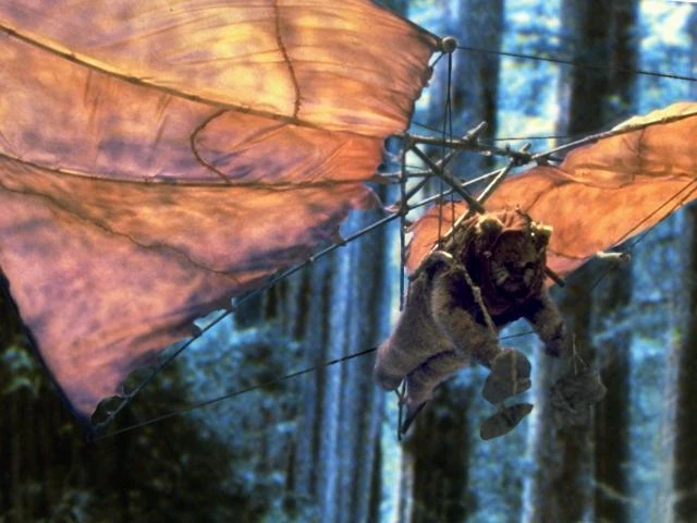 Hang_glider_btm.jpg