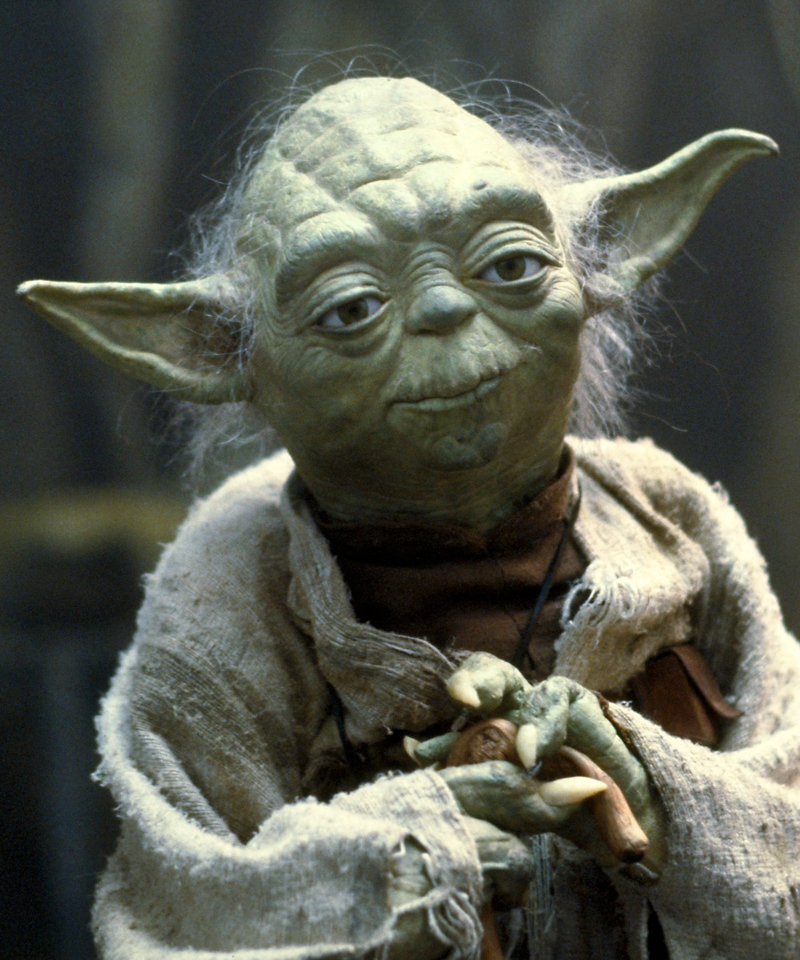 image de yoda