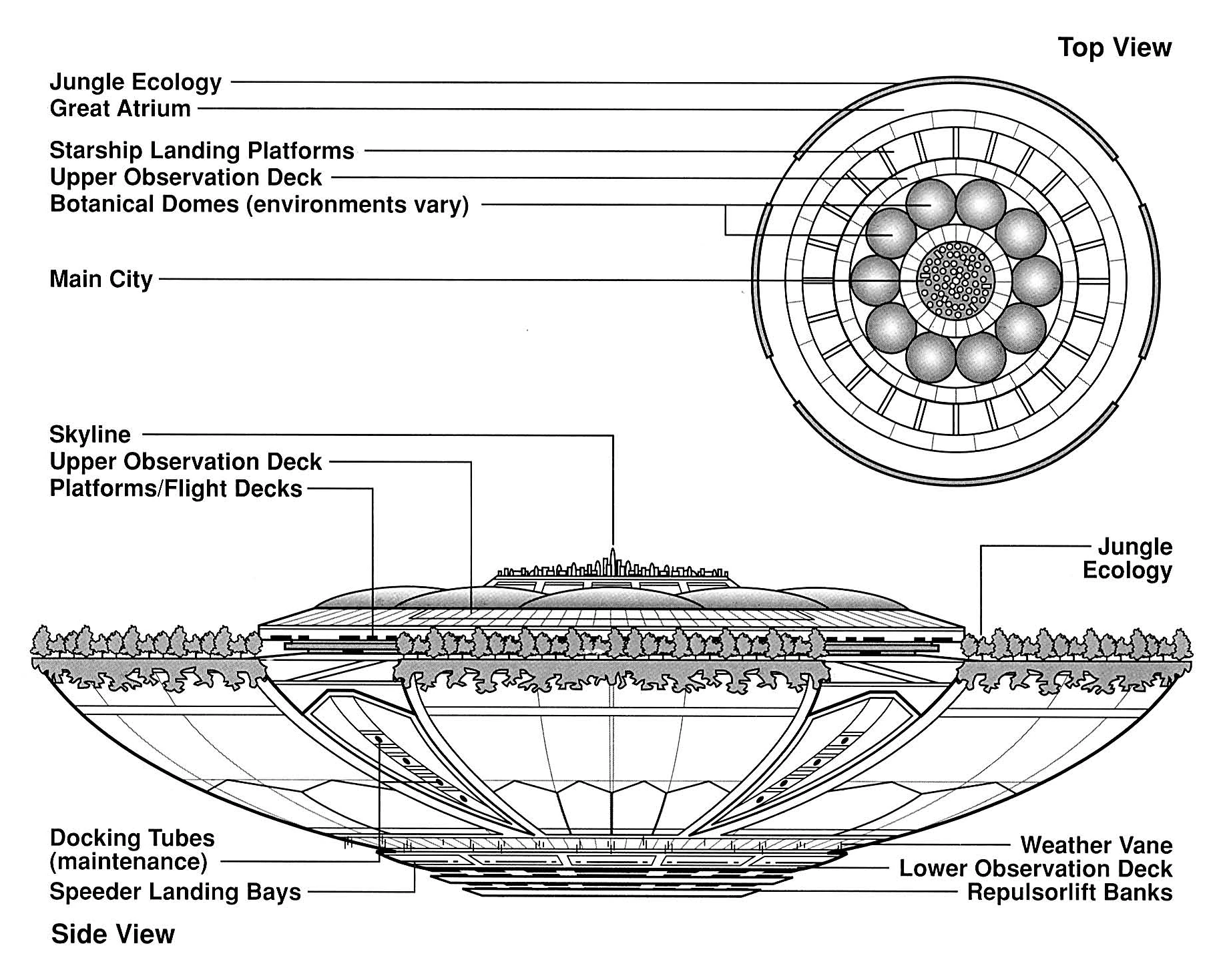 latest?cb=20081030150630