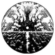 Shadesmar2