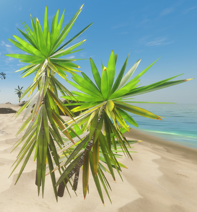 Yucca plant Stranded Deep Wiki FANDOM powered by Wikia