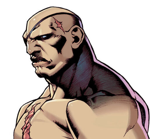 File:Sagat-rev.jpg