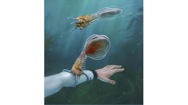 Top five creepiest monsters from Subnautica