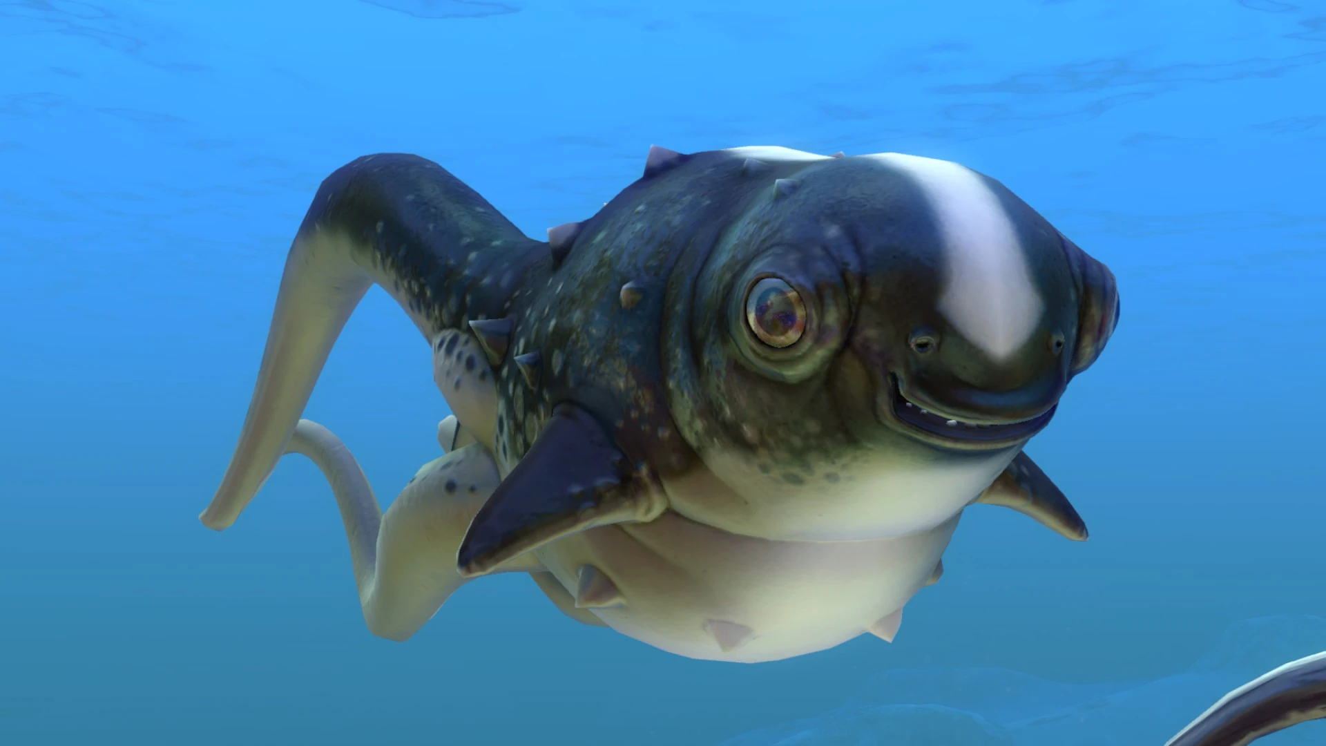 Image Cute Fish (4).jpg Subnautica Wiki FANDOM powered by Wikia