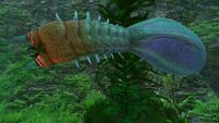 Bleeder | Subnautica Wiki | Fandom powered by Wikia