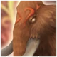 Batalha Mammoth Icon (Fogo)