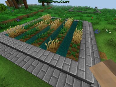 How To Plant Cotton Seeds In Survival Craft How To Plant Cotton Seeds In Survival Craft
