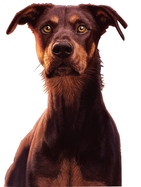 Rosie Dog Name Rosie Dog Name