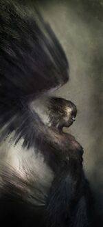 Blackswanart2