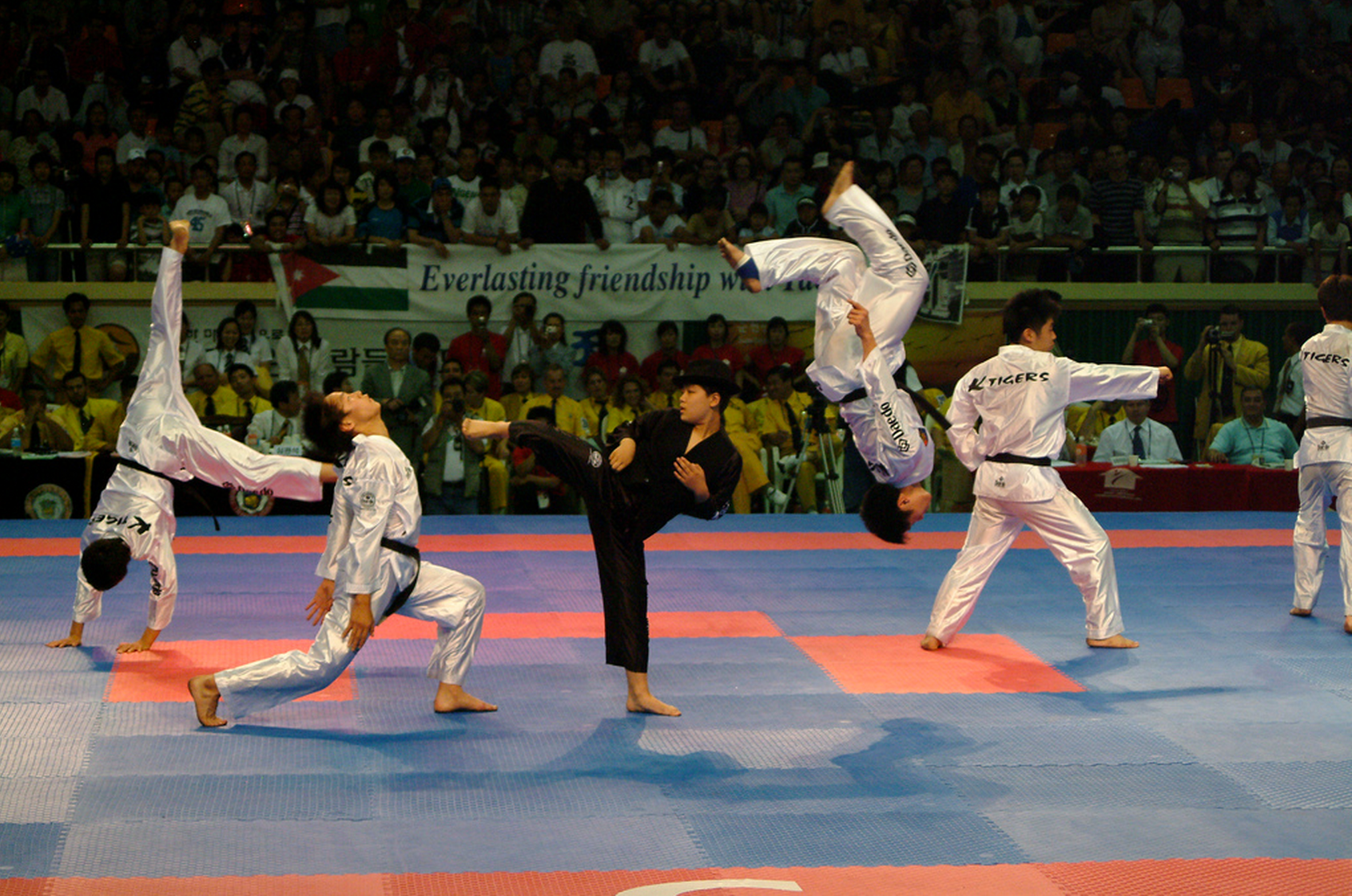 k tigers taekwondo wiki fandom powered by wikia k tigers taekwondo wiki fandom powered by wikia