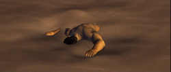 Jin Desierto.png