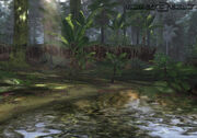 Jungle