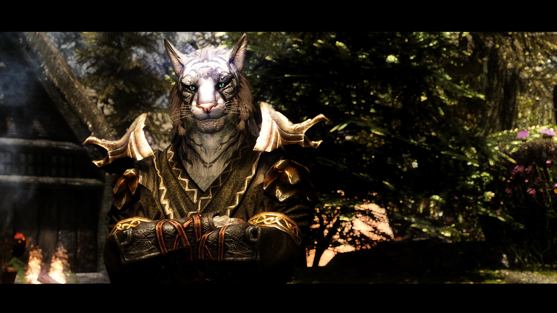 skyrim body customization mod skyrim body customization mod