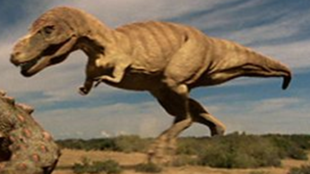 truth about killer dinosaurs