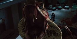 CITW - giant snake