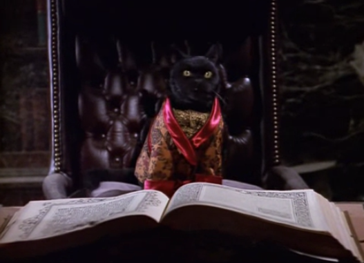 Image result for sabrina the teenage witch GOOD WILL HAUNTING