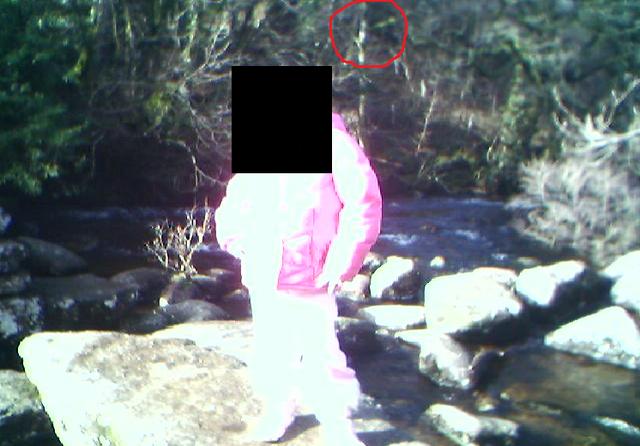 File:Slender in my photo.png