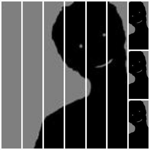 File:PicMonkey Collage.jpg