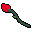 red rose-2744