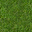 grass-102