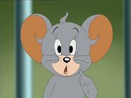 nibbles tom and jerry toy