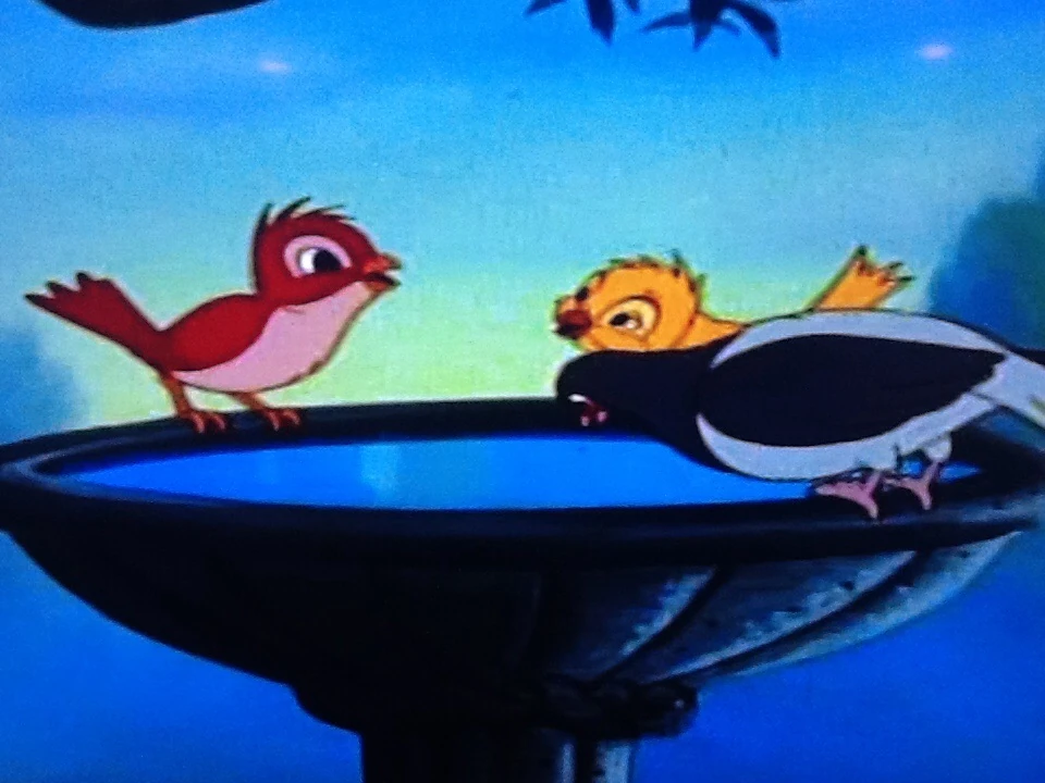 Tom And Jerry Yellow Bird Latest News Update