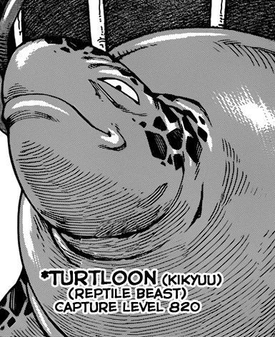 Turtloon.png