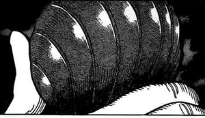 BB Pill Bug