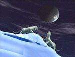Snowstalk2