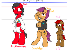 Size Comparisons colored