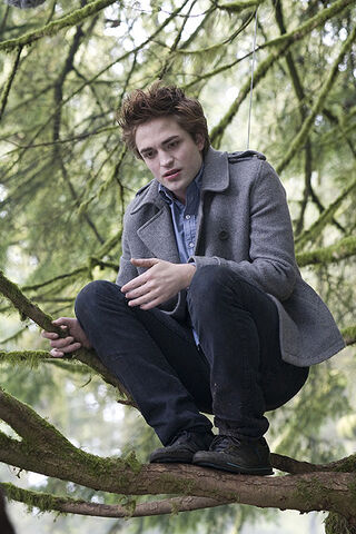 File:Twilight (film) 88.jpg