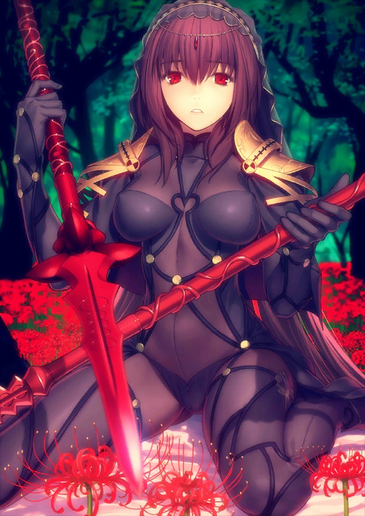 Forum Image: http://vignette2.wikia.nocookie.net/typemoon/images/b/b3/FGOLancerScathStage4.png/revision/latest?cb=20151210083538