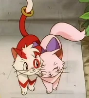 Momo & Nyan.png (149 KB) Momo & Nyan