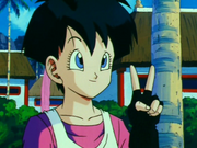 DBZ.videl 2