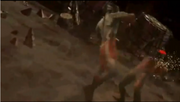 Zero Fight with Belial