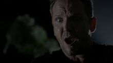 Normal TheOriginals204-1898