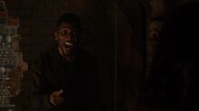 Normal TheOriginals210-1982