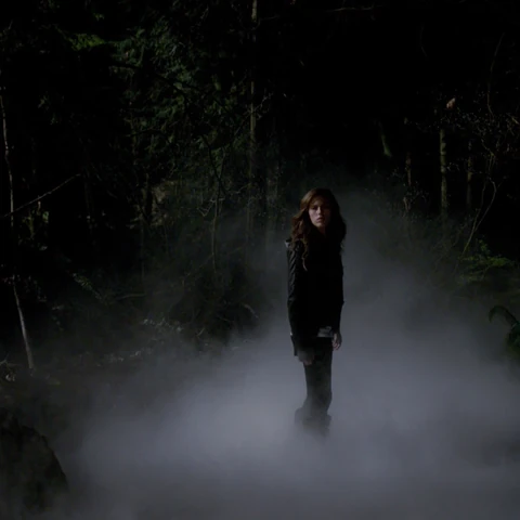 Fog | The Vampire Diaries Wiki | Fandom powered by Wikia