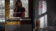 6X06-34-Elena